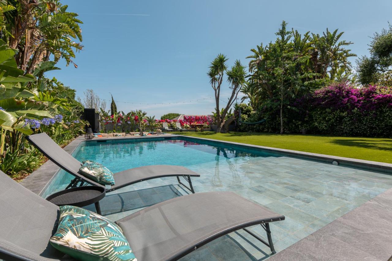 Villa Barcelona'S Tropical Oasis Sant Just Desvern Exterior foto